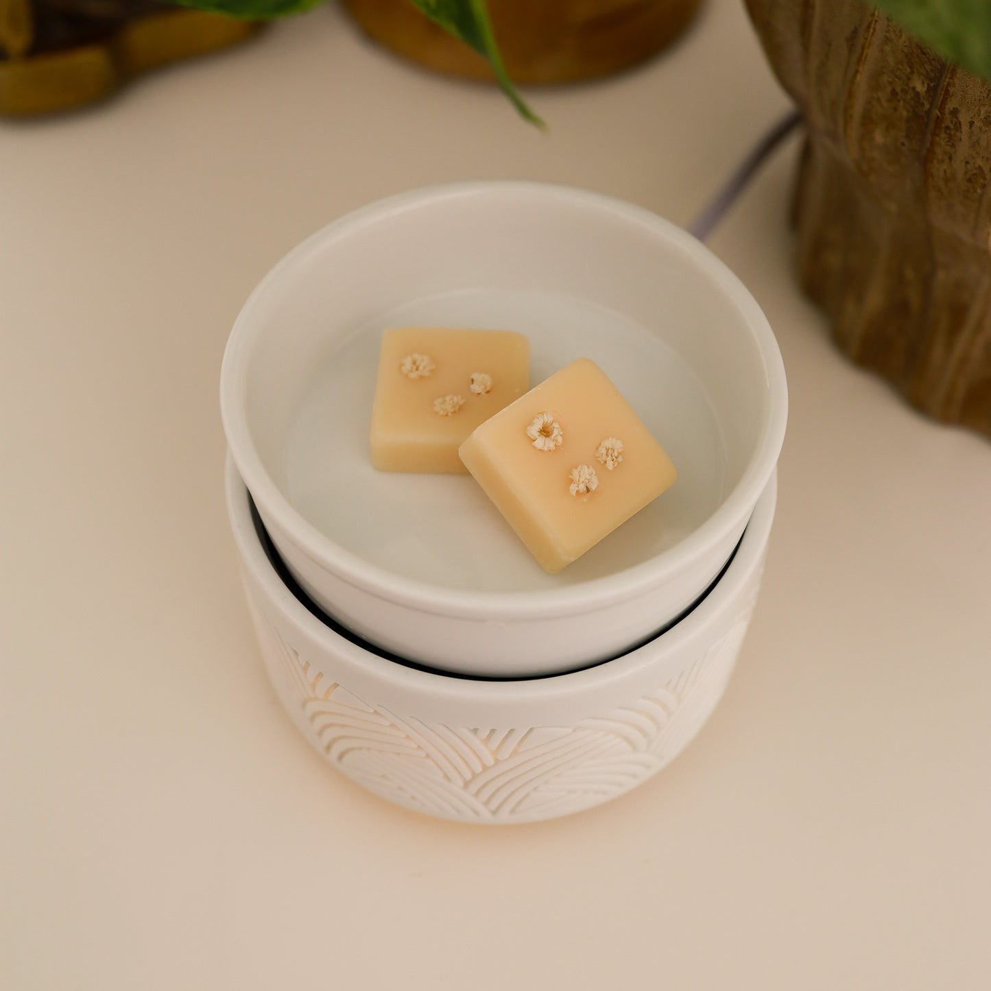 VANILLE BORÉALE | Cubes de cire