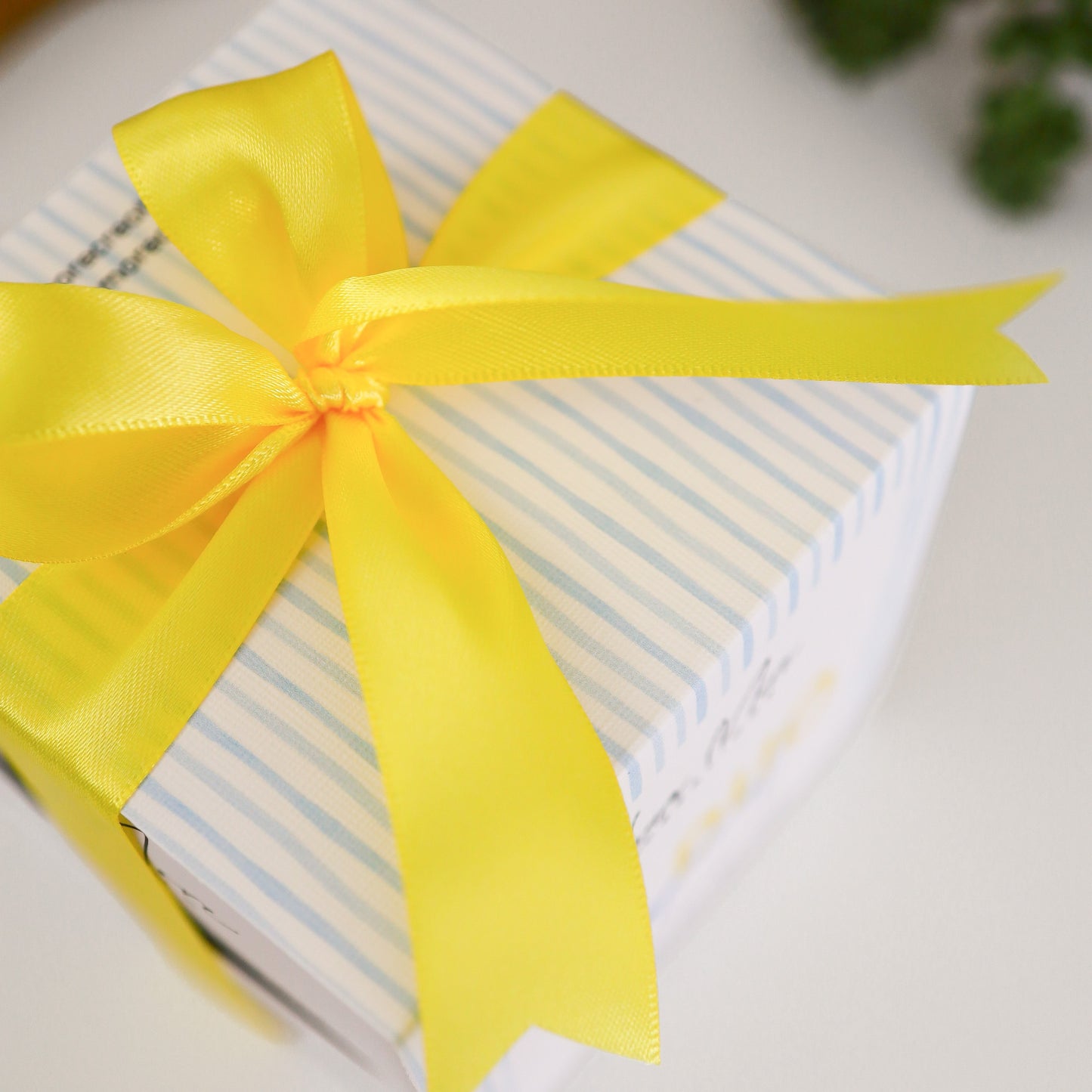 LE DUO TROPICAL | Ensemble de 2 bougie de 5 oz