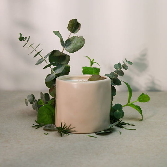 EUCALYPTUS FRAIS | 11 oz