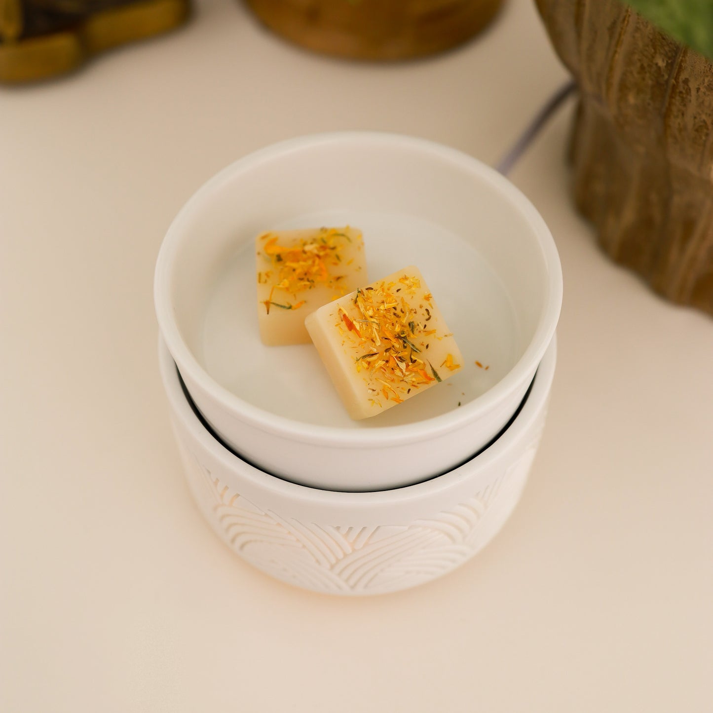 PROMENADE D'AUTOMNE | Cubes de cire