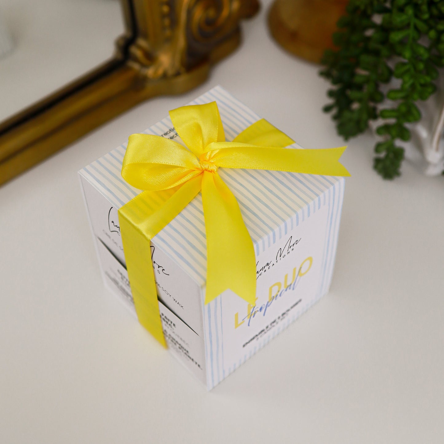 LE DUO TROPICAL | Ensemble de 2 bougie de 5 oz